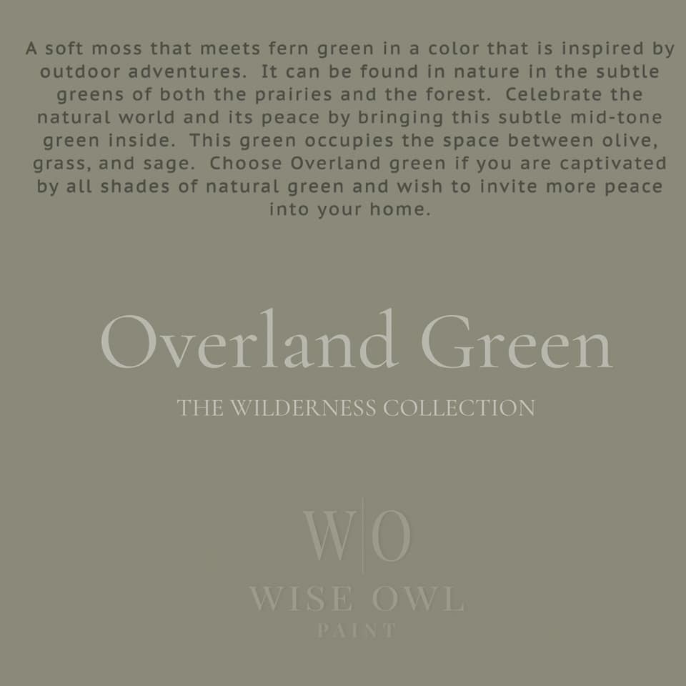 Wise Owl One Hour Enamel - Overland Green