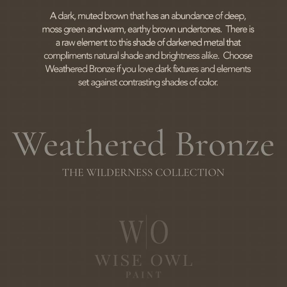 Wise Owl One Hour Enamel - Weathered Bronze