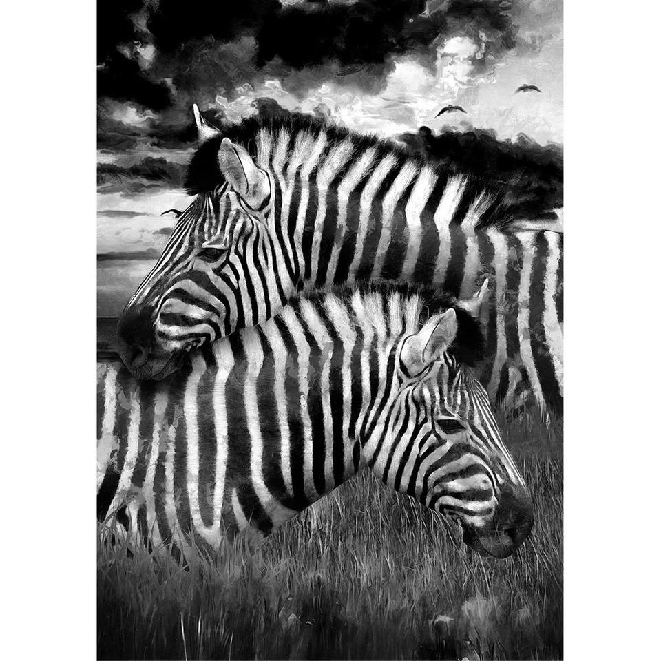 Zebra Decoupage Paper