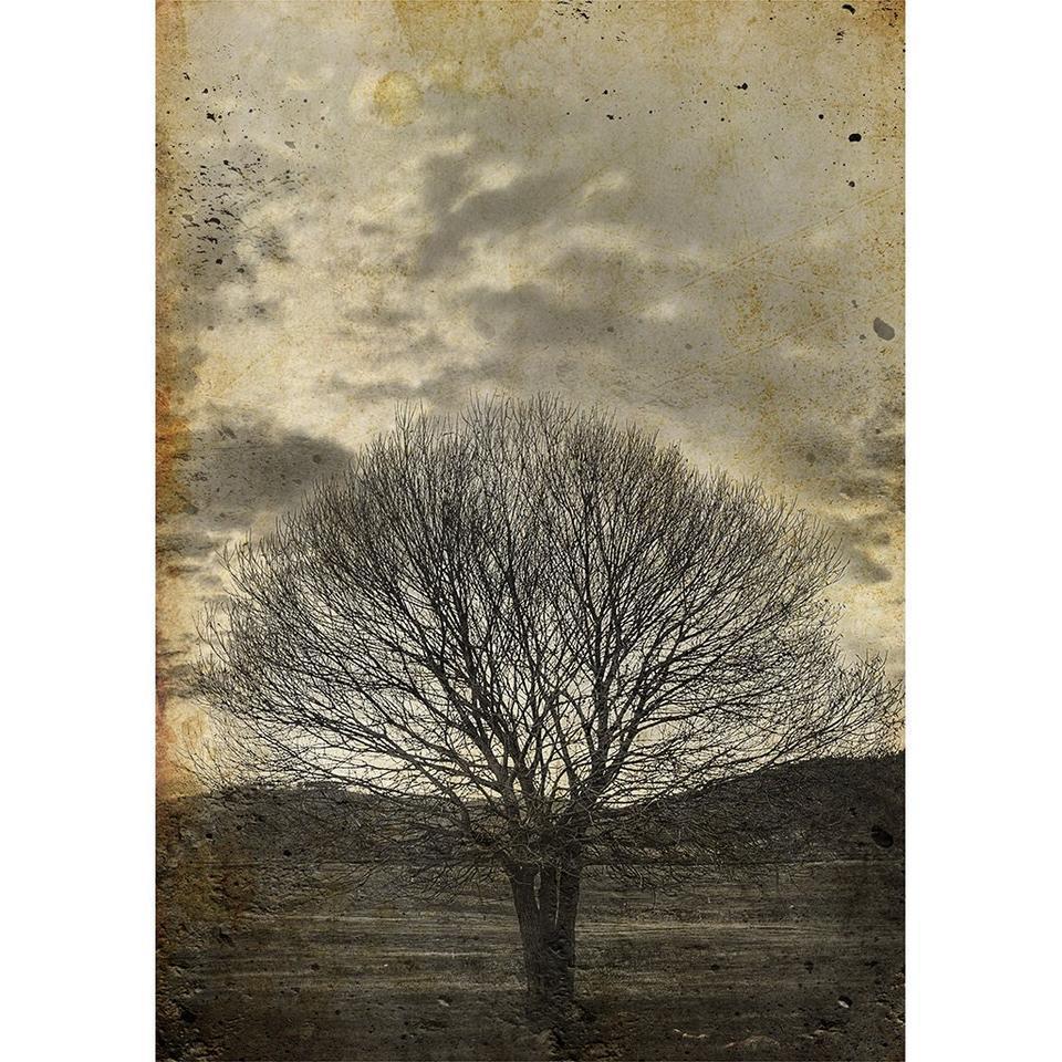 Sepia Trees Decoupage Paper